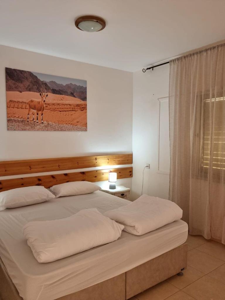 Elifaz Desert Experience Holiday Esterno foto